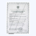 Режуще сшивающий аппарат эндоскопический степлер EZISURG MEDICAL easyEndo Lite U12S45
